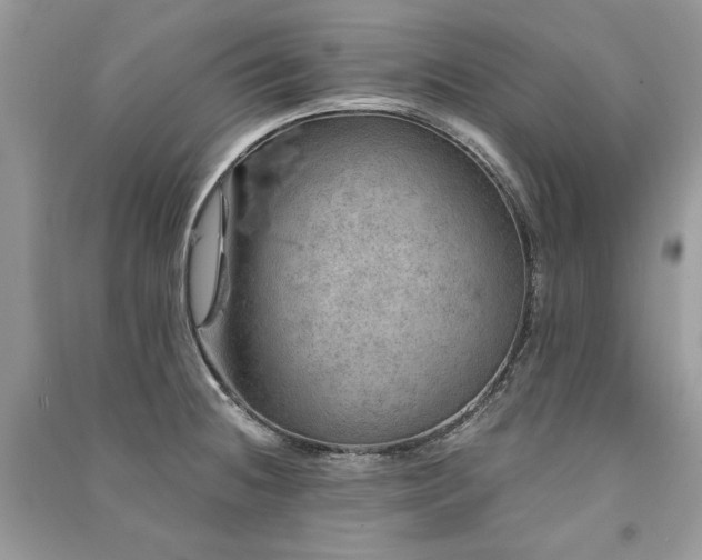 X0000091361236200708101413