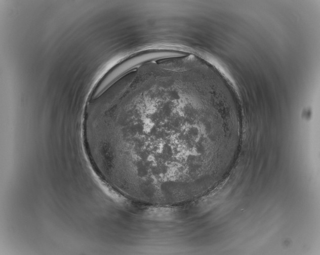 X0000091361237200708101413