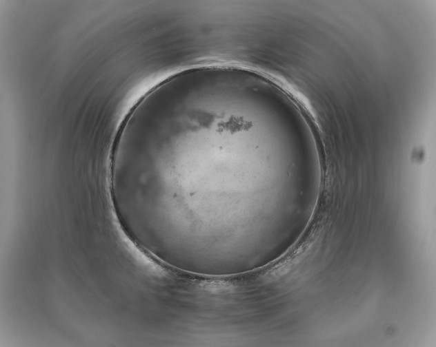 X0000091361239200708101413