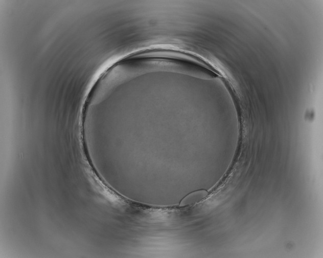 X0000091361240200708101413