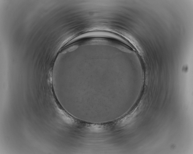 X0000091361241200708101413