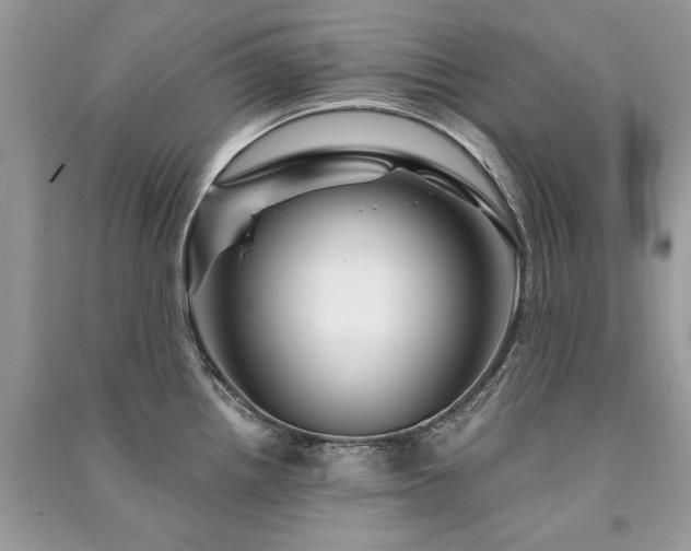 X0000091361242200708101413
