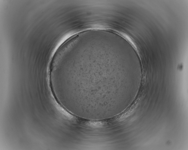 X0000091361243200708101413