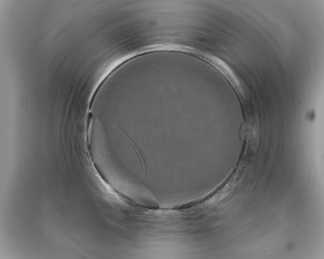 X0000091361244200708101413