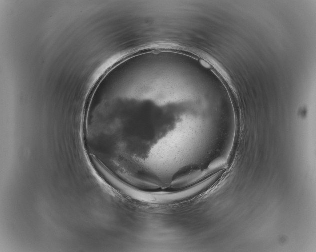 X0000091361245200708101413