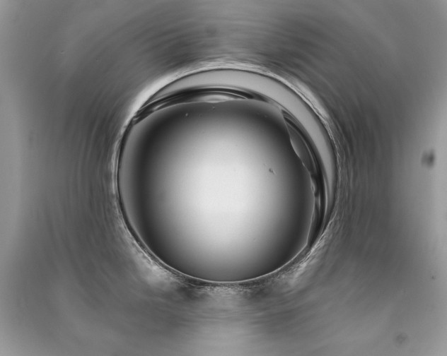 X0000091361246200708101413