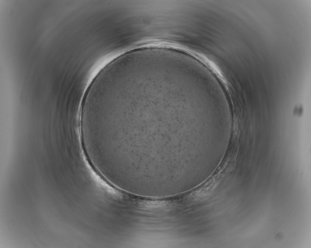 X0000091361247200708101413