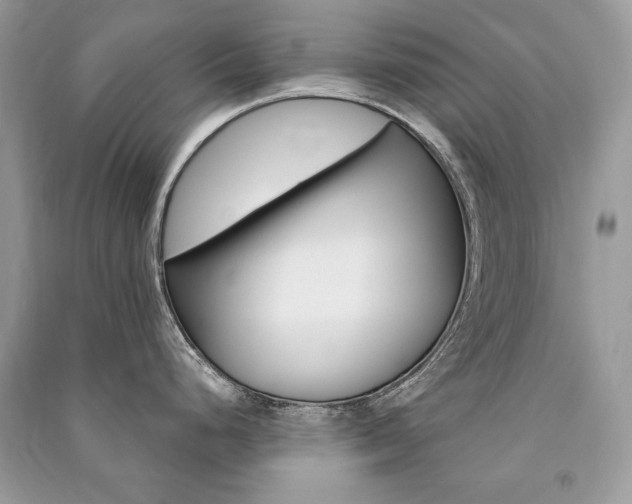 X0000091361248200708101413