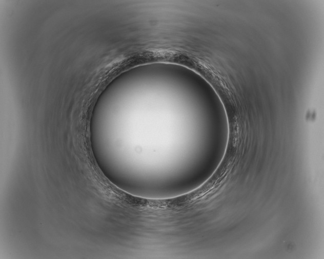 X0000091361249200708101412