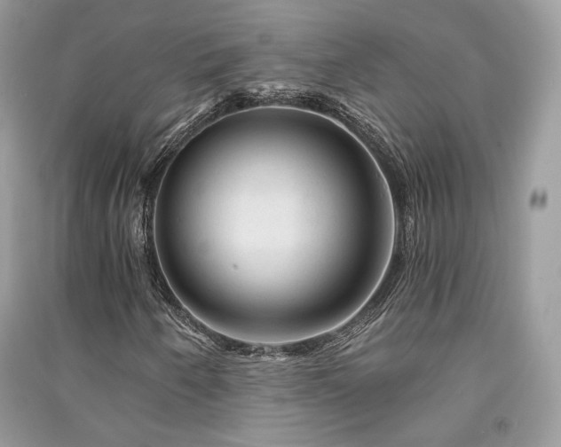 X0000091361250200708101412