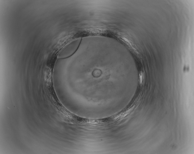 X0000091361251200708101412