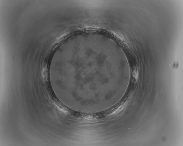 X0000091361252200708101412