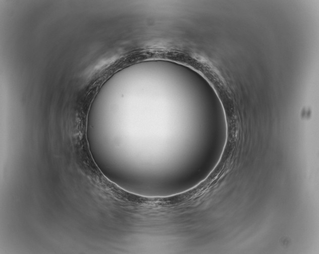 X0000091361253200708101412