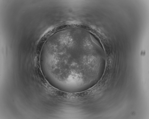 X0000091361254200708101412