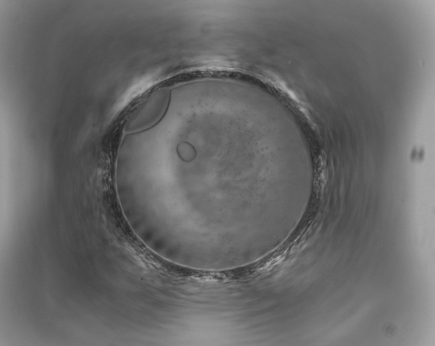 X0000091361255200708101412