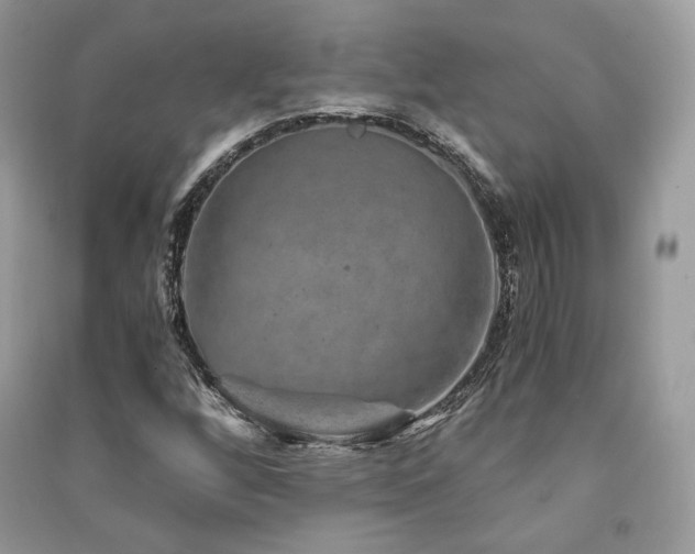 X0000091361256200708101412