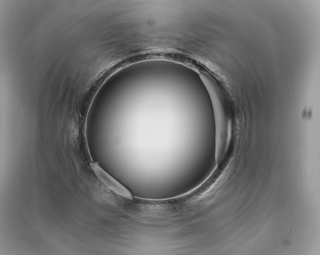 X0000091361257200708101412