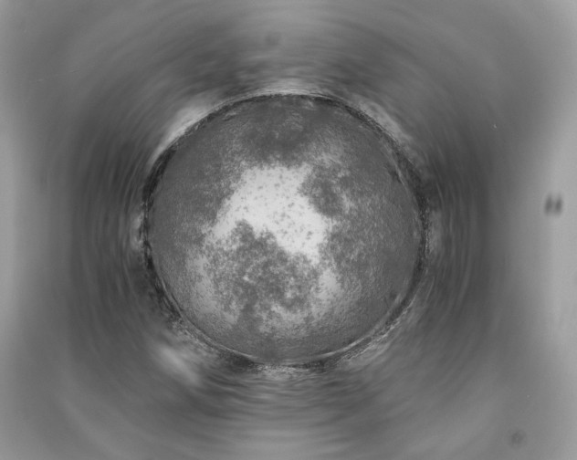 X0000091361258200708101412