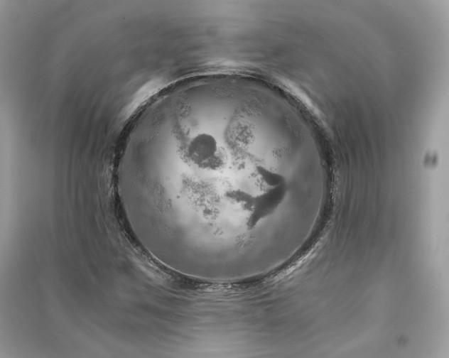 X0000091361259200708101412