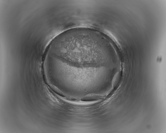 X0000091361260200708101412
