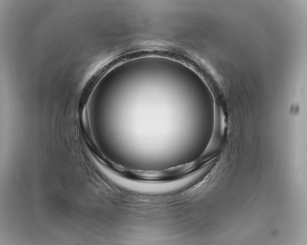 X0000091361261200708101412
