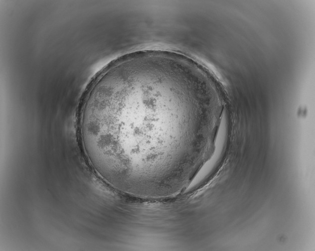 X0000091361264200708101412