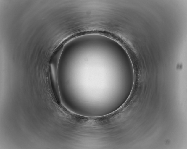 X0000091361265200708101412