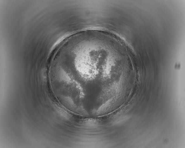 X0000091361266200708101412