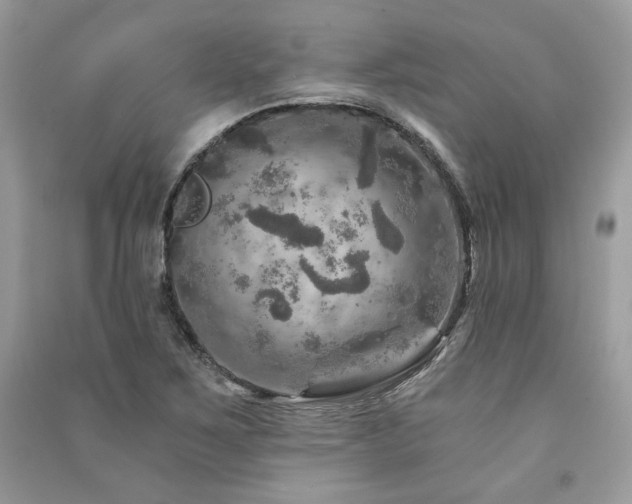 X0000091361267200708101412