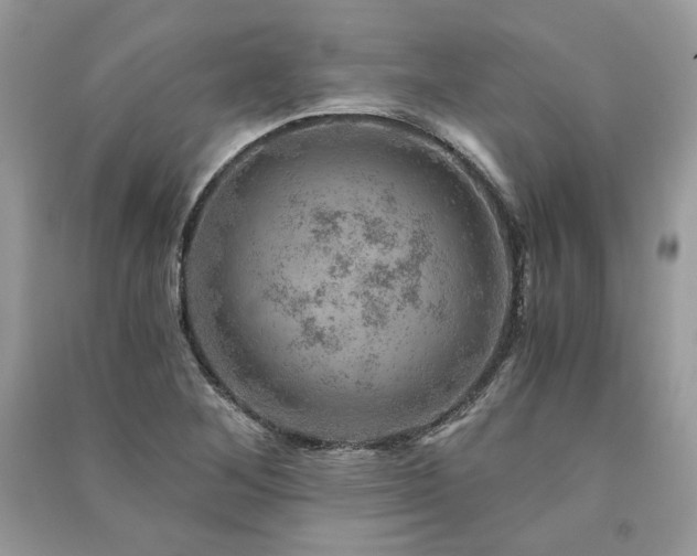 X0000091361268200708101412