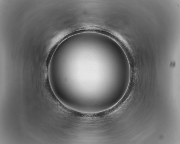 X0000091361269200708101412