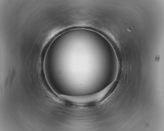 X0000091361270200708101412