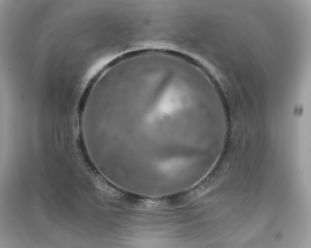 X0000091361271200708101412