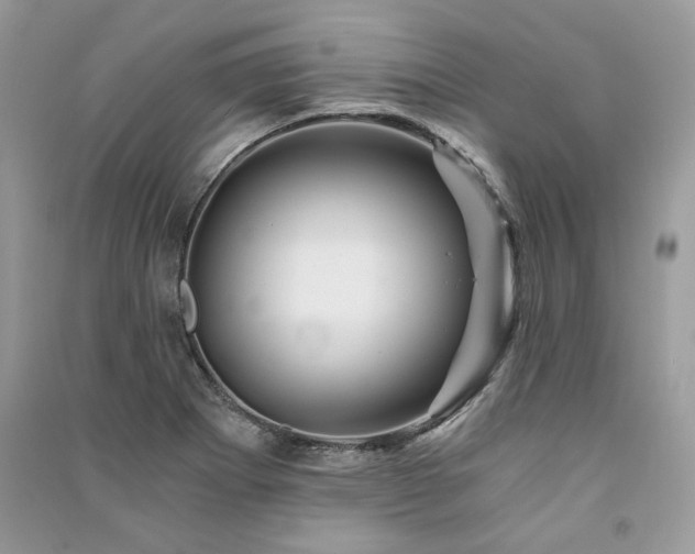 X0000091361273200708101412