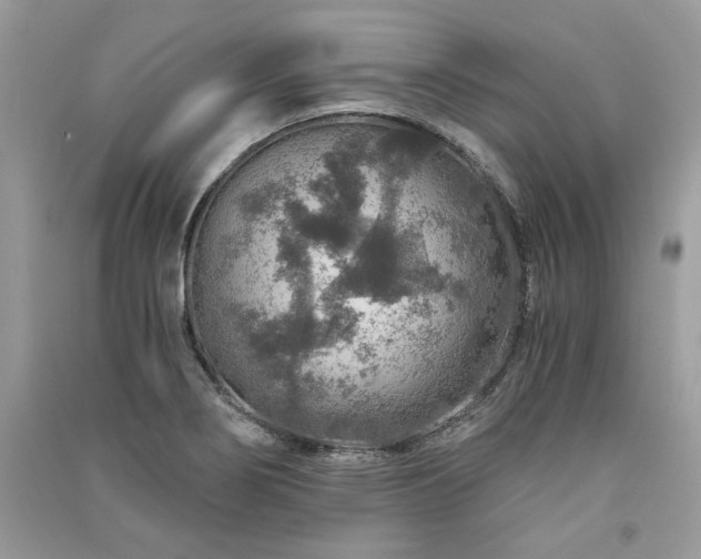 X0000091361274200708101412