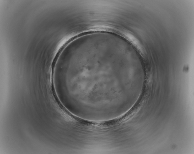X0000091361275200708101412