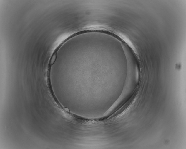 X0000091361277200708101412