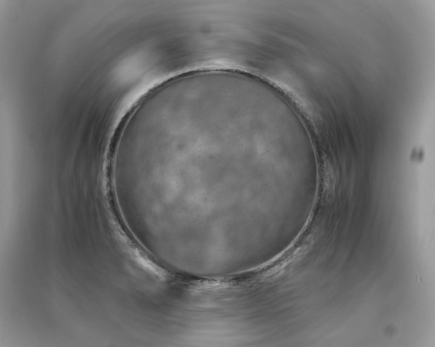 X0000091361278200708101412