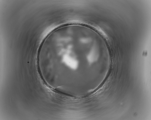 X0000091361279200708101412
