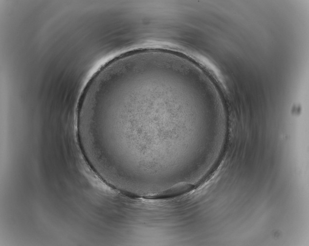 X0000091361280200708101412