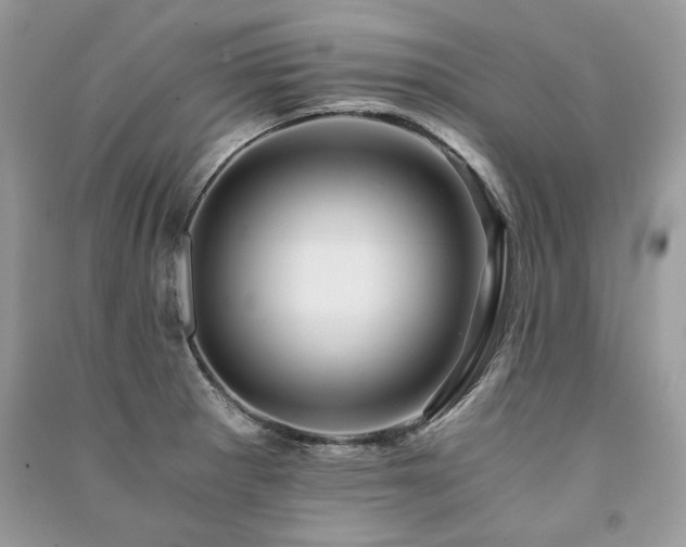 X0000091361281200708101412