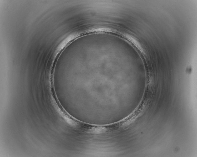 X0000091361282200708101412