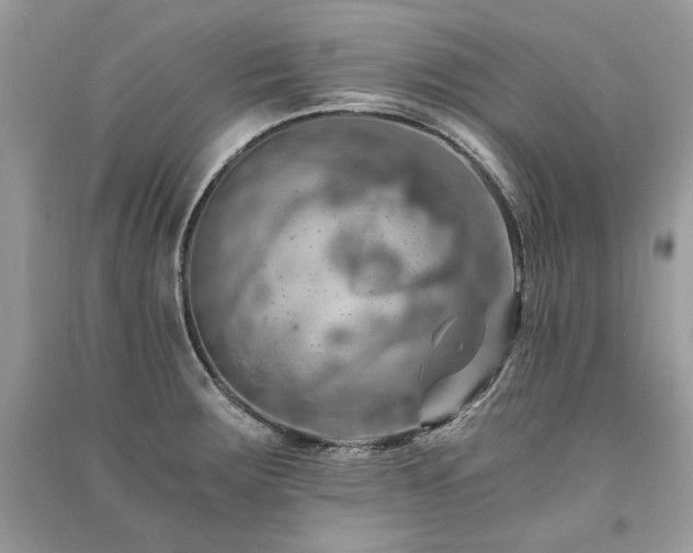 X0000091361283200708101412