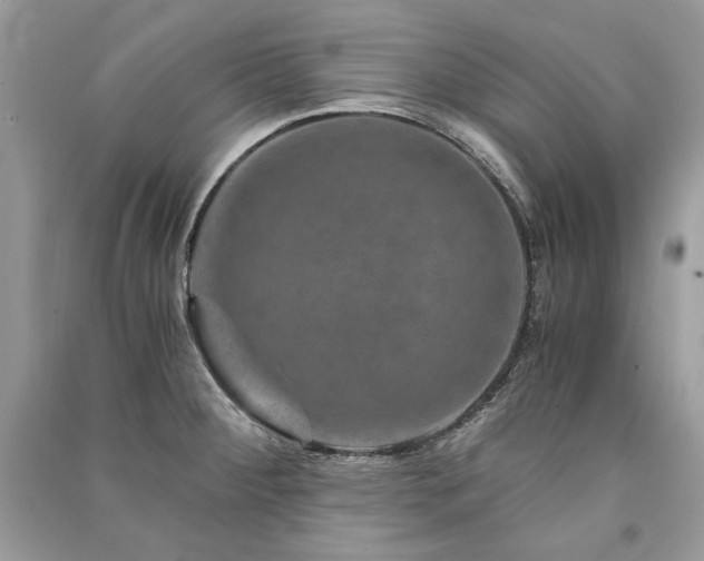 X0000091361284200708101412