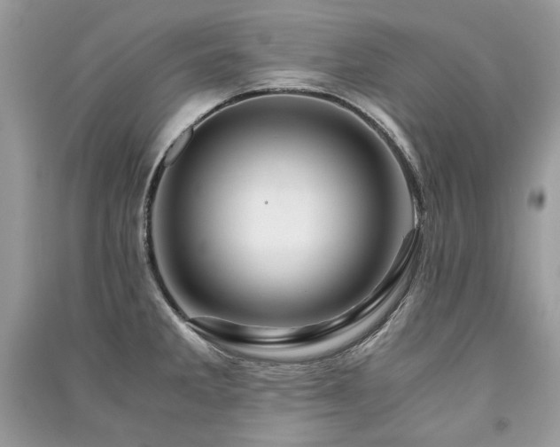 X0000091361285200708101412