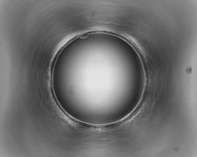 X0000091361286200708101412
