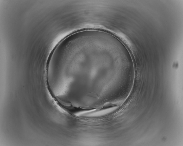 X0000091361287200708101412