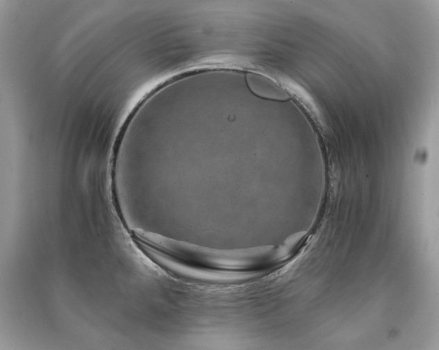 X0000091361288200708101412