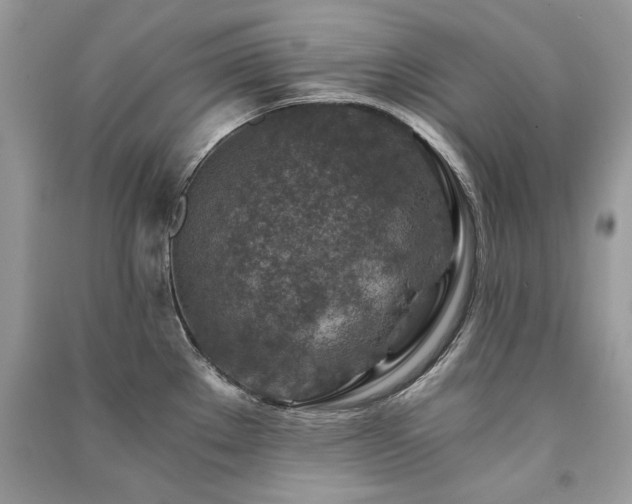 X0000091361289200708101412