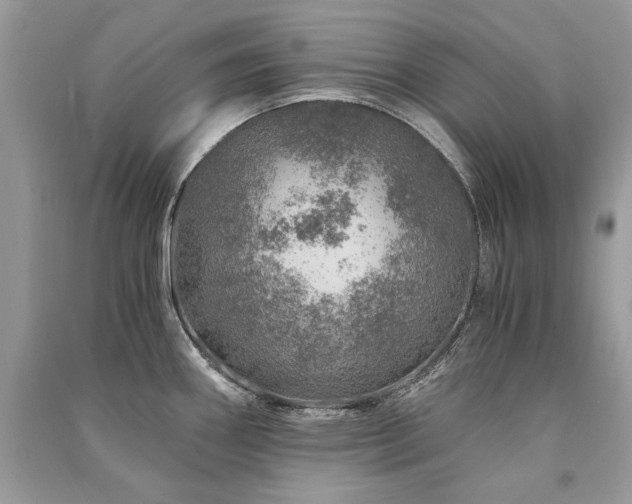 X0000091361290200708101412